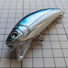 ロンジン ミズキ50SW 50mm/5.6g 【シーバスルアー専門店 キング