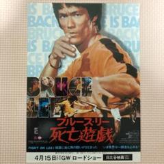 映画チラシ　ブルース・リー作品9枚セット+シール 2025年最新】Yahoo!オークション -ブルースリー映画チラシの中古