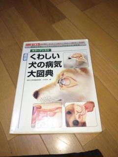 詳しい犬の病気の中古 未使用品 メルカリ