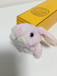 注目ブランド マスコット ぬいぐるみキーホルダー うさぎ Usamochi 可愛い 5d15cf1c 同時購入価格 Www Cfscr Com