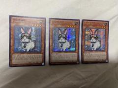 遊戯王　レスキューラビット　EV11 韓国　シク　シークレット　３枚セット 遊戯王 レスキューラビット EV11 韓国 シク シークレット 3枚