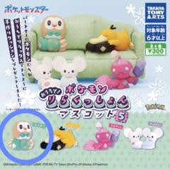 ★ポケモン★ モクロー もちもちクッション ぬいぐるみ ３点セット Amazon.co.jp: ポケモンセンターオリジナル もっちりまんまる