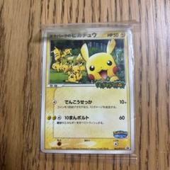 ポケパークのピカチュウ PROMO PCG-Pプロモカード 043/PCG-P