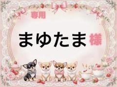 専用