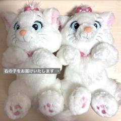 サイト完売品‼️ぬいぐるみ3個　おしゃれキャット　マリーちゃん サイト完売品 ぬいぐるみ3個 おしゃれキャット マリーちゃん