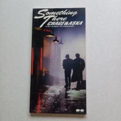 CHAGE&ASKA/サムシング・ゼアー