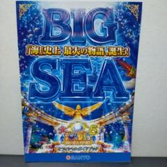20230724_170722-1.jpg?v=1731454755