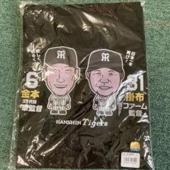 阪神タイガース 金本監督★シークレット★ミニ色紙 金本知憲 阪神タイガース#6 サイン色紙 既製品 兄貴 はんしん 虎