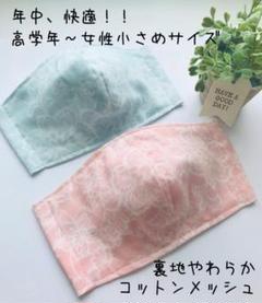 裏地コットンメッシュ 立体インナーマスク2枚