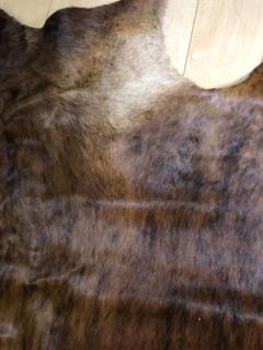 t-cow02-150x150.jpg