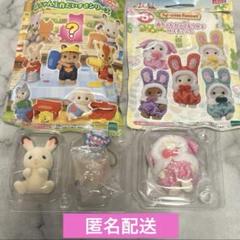 松尾太陽 タカシ フローラの赤ちゃん ショコラウサギの赤ちゃん