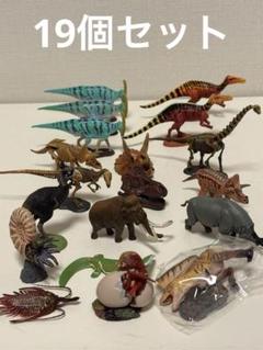 海洋堂　恐竜　古代生物　フィギュア　 まとめ売り　チョコラザウルス　恐竜模型図鑑 海洋堂 恐竜 古代生物 フィギュア まとめ売り チョコラザウルス