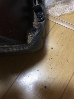 シート