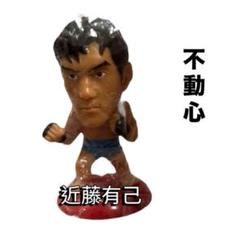 プロ格ヒーローズ114体フィギュア絶版セット プロ格ヒーローズ114体フィギュア絶版セット - メルカリ