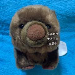 五月山動物園 ウォンバットグッズBセット | 大阪府池田市
