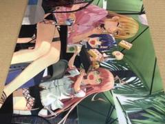 Amazon.co.jp: Qruppo ぬきたし A4クリアファイル : おもちゃ
