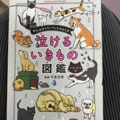 泣けるいきもの図鑑