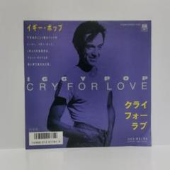 貴重　イギーポップ/ JESUS LOVES THE STOOGES レコード IGGY POP & JAMES WILLIAMSON / JESUS LOVES THE STOOGES