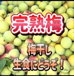 梅 完熟梅 家庭用 約10キロ　着払いクール 梅 完熟梅 約1kg ご家庭用 着払いクール便 - メルカリ