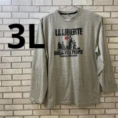 プリントTシャツ　ロンT 長袖 グレー　ゆったり　大きいサイズ　コットン　3L