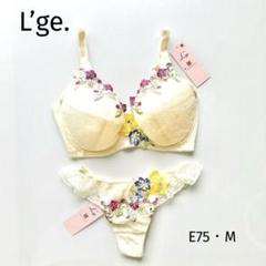 【専用】ワコール　ルジェ　28G ブラジャー＆ソング　D70 新品　匿名配送 ベストセラー 専用】ワコール 匿名 新品 D70 ブラジャー＆ソング