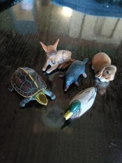 チョコエッグ　動物フィギュアセット（カメ、シカ、モグラ、ウサギ、カモ）