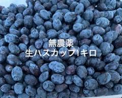 2025.無農薬ハスカップ2キロ　生ハスカップ有り 2025.無農薬ハスカップ2キロ 生ハスカップ有り （厚真町 西埜馬