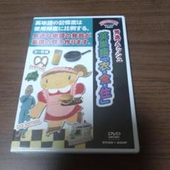 秀逸フラッシュDVD