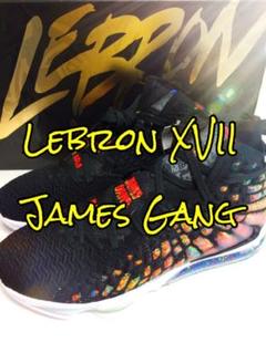 【新品】レブロン 17 28.5cm Lebron 17 James Gang