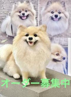 羊毛フェルト オーダー募集中❣️ポメラニアン ゴールデンレトリバー柴犬　犬