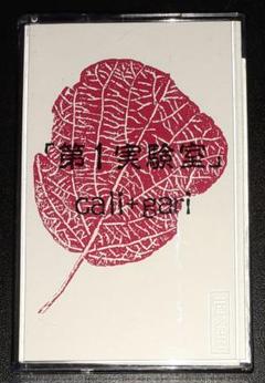 cali≠gari(カリガリ)  ビデオテープ３本セット 超美品】cali+gari(cali≠gari),デモテープ,第1実験室 - メルカリ