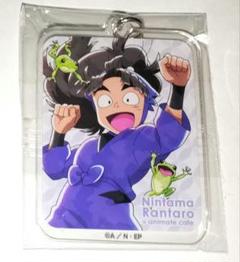 忍たま乱太郎 竹谷八左ヱ門 アクリルキーホルダー アニメイト