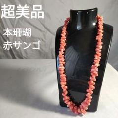ひ565 超美品 本珊瑚 赤サンゴ ネックレス 叶堂 SILVER - メルカリ