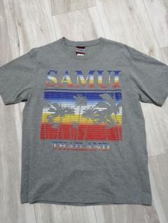 SAMUI サムイ THAILAND タイ Tシャツ グレー XL