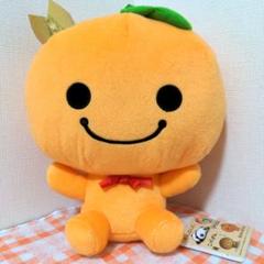 みかんぼうや ぬいぐるみ 18cm 71cuNYbFL9L._UF350,350_QL50_.jpg