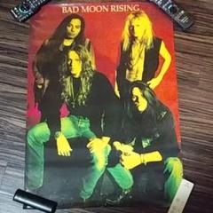 METEORS/BAD MOON RISING 赤盤　サイコビリー MC5qcGVn.jpeg