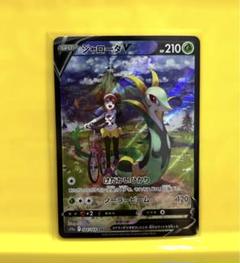 ジャローダv csr 極美品 2025年最新】ジャローダv csr psa10の人気アイテム - メルカリ