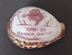 大阪花の万博　EXPO'90　貝殻　タカラガイ