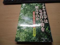 イタヤカエデはなぜ自ら幹を枯らすのか―樹木の個性と生き残り戦略