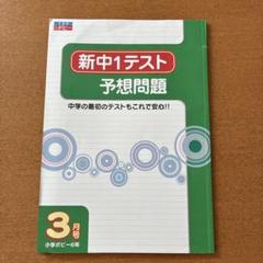 ポピー 小学5年 2024年〜2025年 4月〜3月 (１年分) ポピー 小学5年 2024年〜2025年 4月〜3月 (1年分)