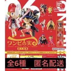 2025年最新】ワンピの実まとめ売りの人気アイテム - メルカリ