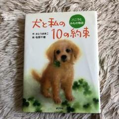 1読 犬と私の10の約束 : バニラとみもの物語 さとうまきこ 送料込み