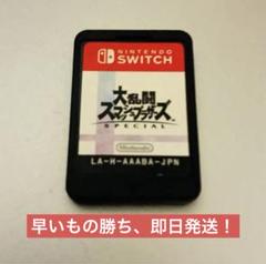 大乱闘スマッシュブラザーズ SPECIAL