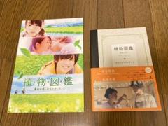 パンフレット 植物図鑑の中古 未使用品を探そう メルカリ パンフレット 植物図鑑の中古 未使用品を探そう メルカリ