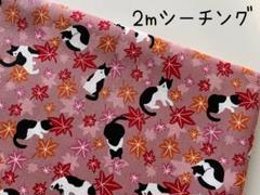 2m　猫　ねこ　紅葉　ハチワレ　シーチング　生地　和柄　もみじ　ピンク　30