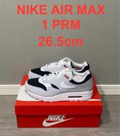 NIKE AIR MAX 1 PRM PURE PLATINUMのサムネイル