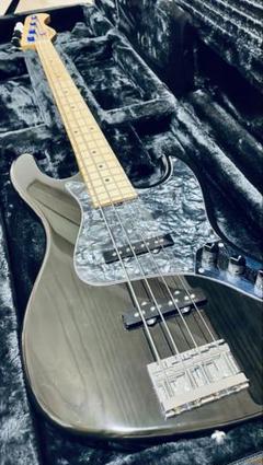 sadowsky ベースケース 新品未使用 Sadowsky Bass Portabag エレキベース用 セミハードケース【両肩