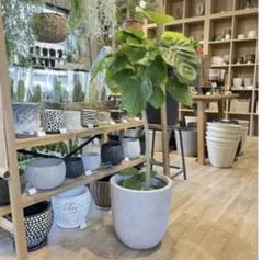 12号 大型 観葉植物 植木鉢 鉢カバー おしゃれ グレー 陶器鉢風 軽量 丸型 12号 大型 観葉植物 植木鉢 鉢カバー おしゃれ グレー 陶器鉢風