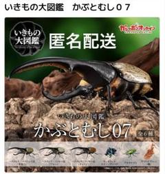 2025年最新】ランキフェルオオニジダイコクの人気アイテム