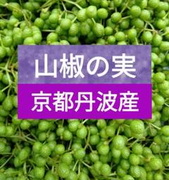 3430●１kg以上実山椒京都丹波産　⑧送料込￥8000 2025年最新】山椒の実 1kgの人気アイテム - メルカリ